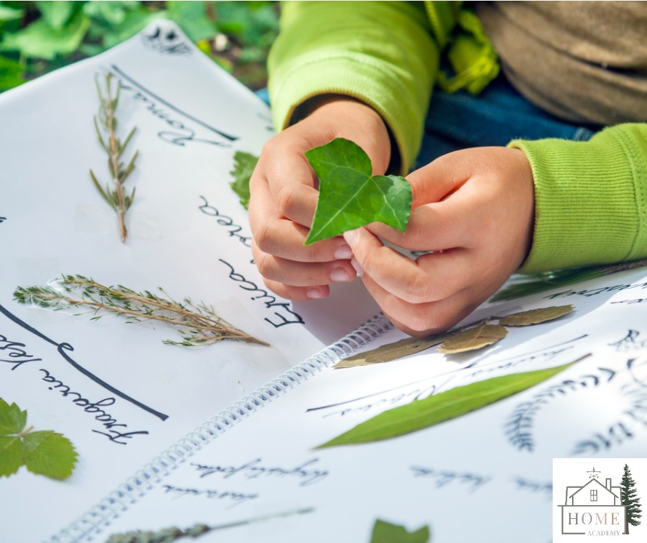 preparin-an-herbarium.jpg_s=1024×1024&w=is&k=20&c=P_wCBjVf3stTluRDqbL2tzbAgpTb310SmDCsH951AJ8=